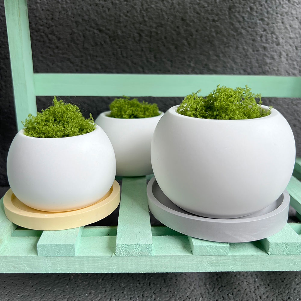 Cetakan penanam silikon besar  - Potsticker Mold ulasan dan harga