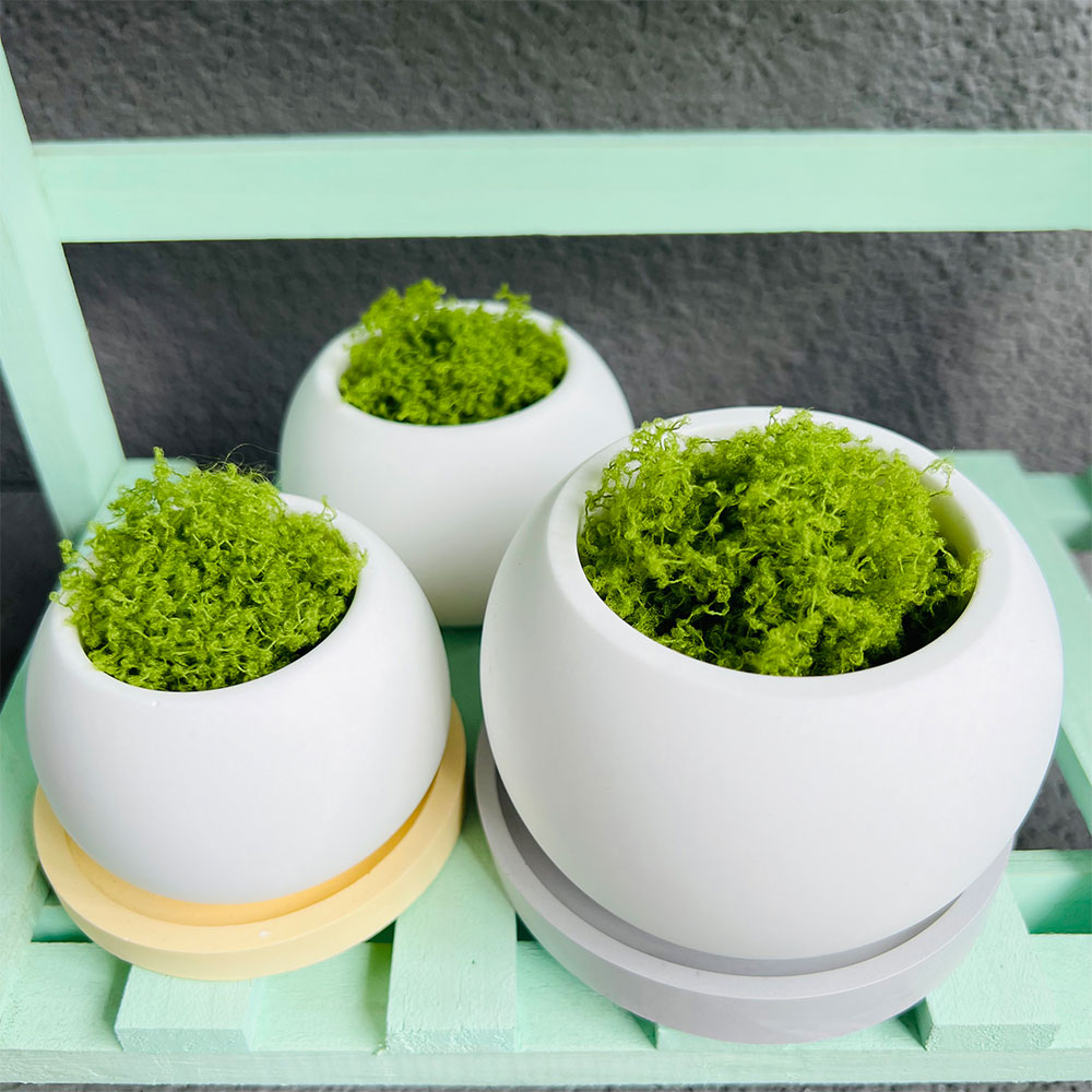 Pot bunga bundar cetakan silik - Potsticker Mold ulasan dan harga