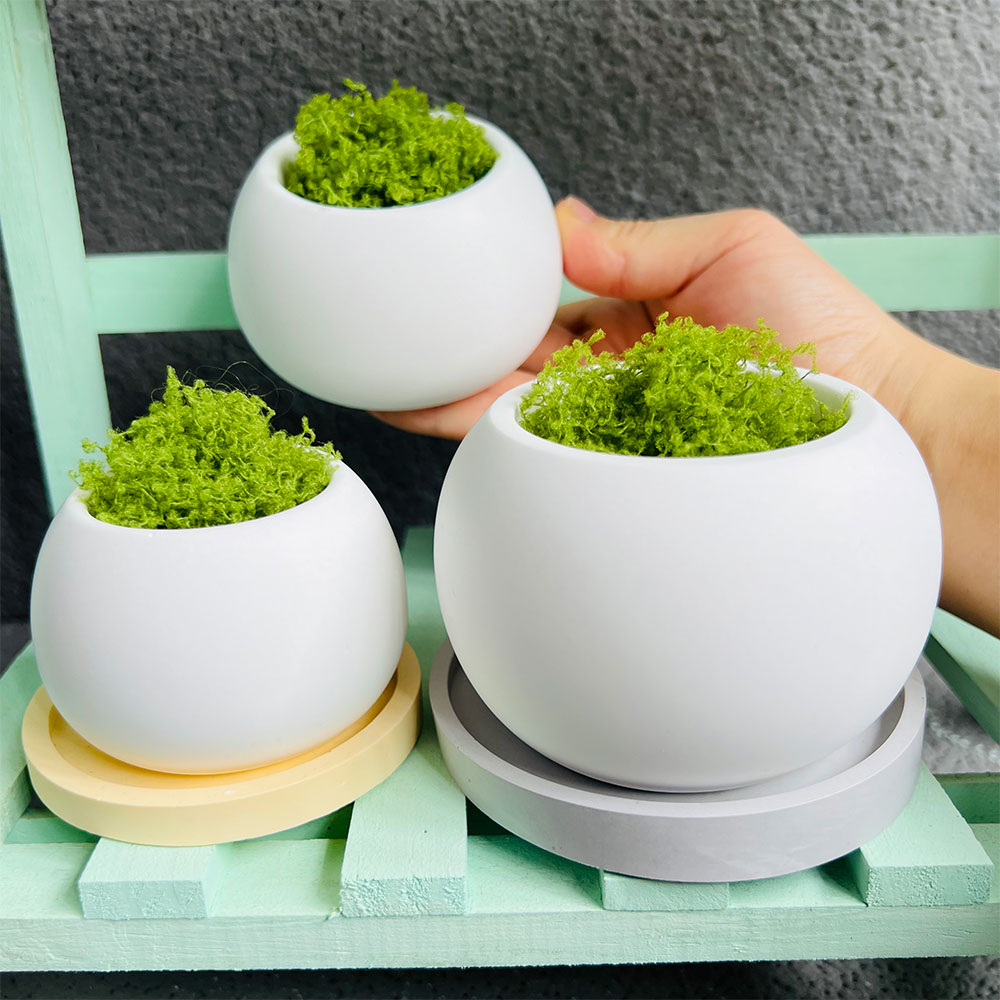Pot bunga bundar cetakan silik - Potsticker Mold ulasan dan harga